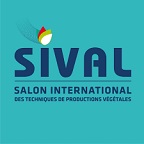 Sival 2027